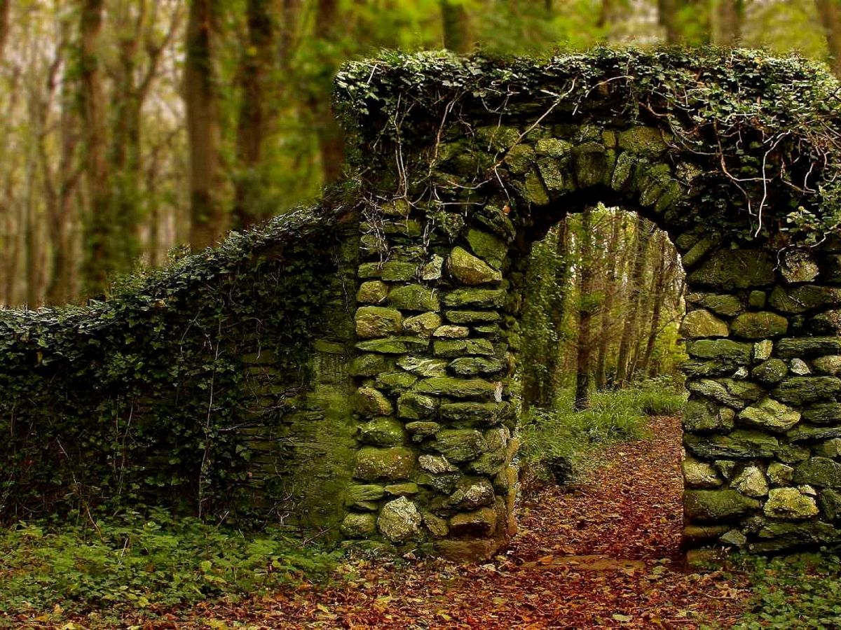 Dogmatic Theology vs. Systematic&nbsp;Theology